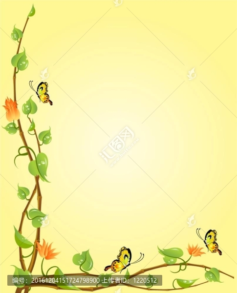 美麗的框架