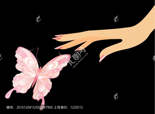 蝴蝶坐在女性手上