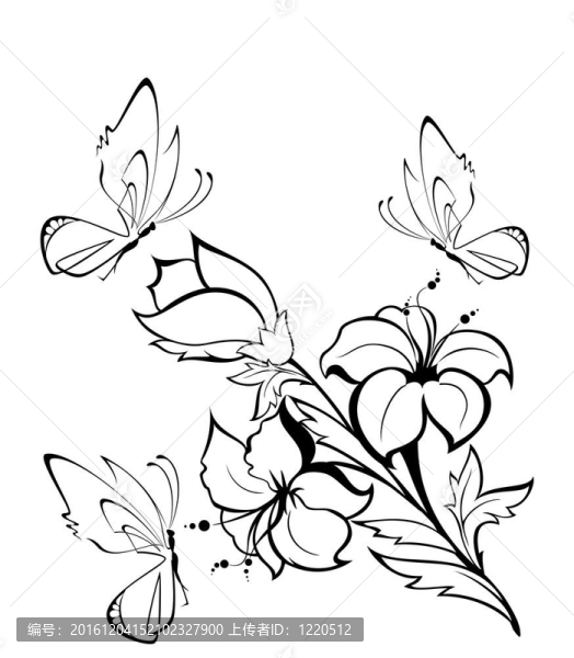 熱帶蝴蝶花