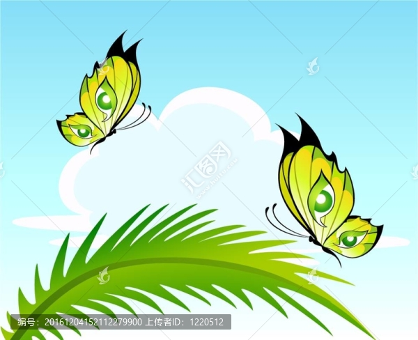 美麗的蝴蝶設(shè)計