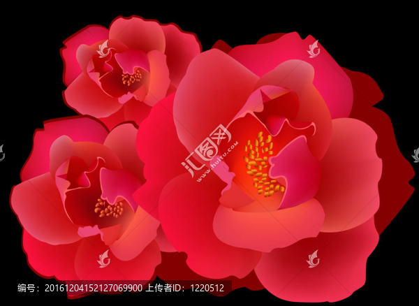 紅色的玫瑰