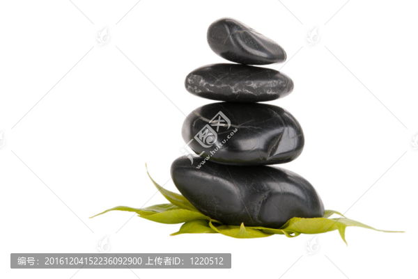 黑石頭和樹傳單