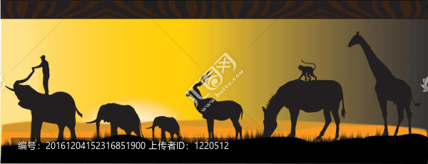 非洲動(dòng)物