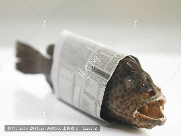 魚