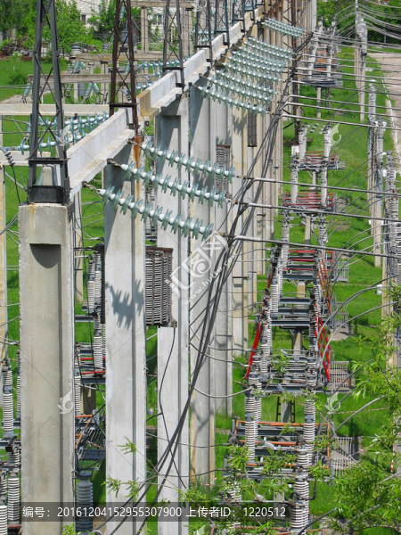 電廠高壓輸電線路