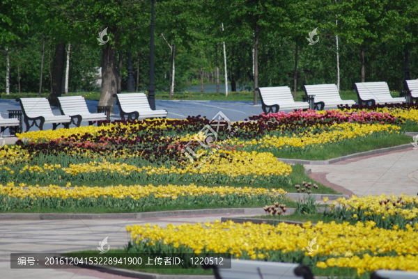 莫斯科春季夏季城市公園