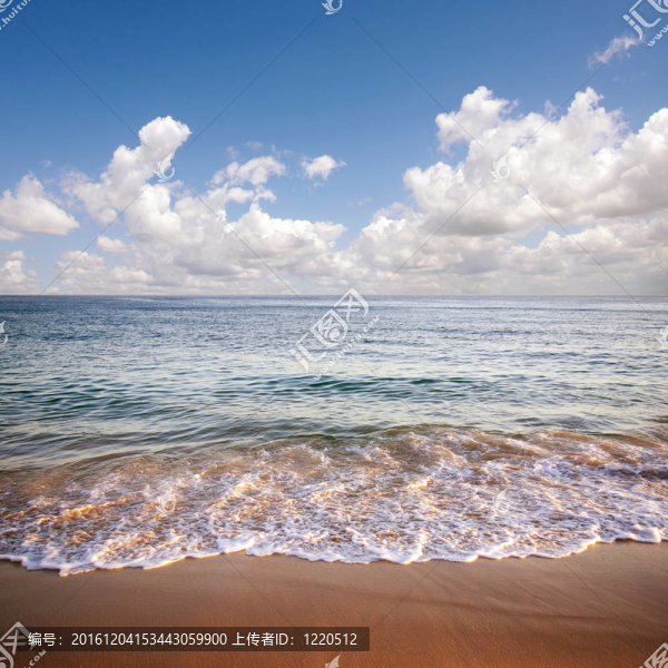 海景