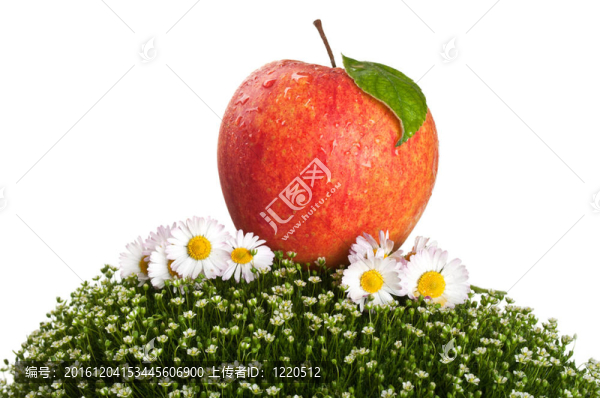 青蘋果紅蘋果