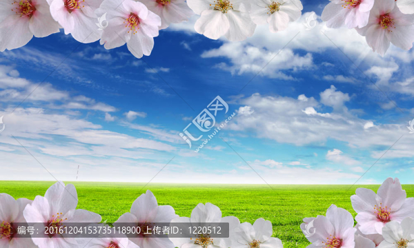 藍(lán)天上美麗的花朵