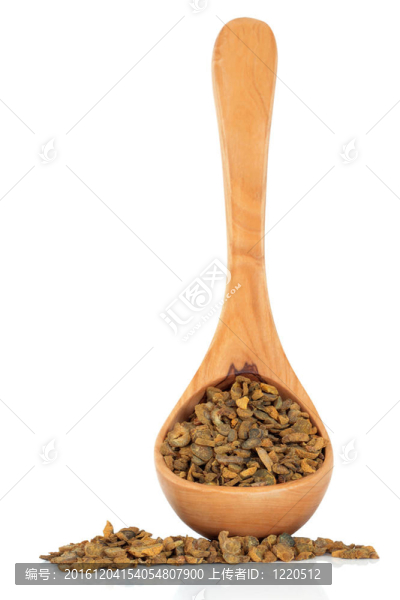 延胡索