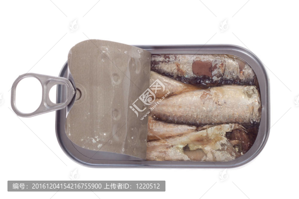 可以沙丁油魚