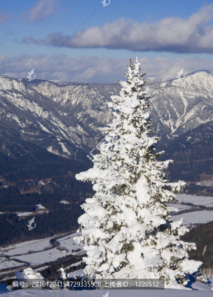 冬下雪山。滑雪勝地施拉德明。澳大利亞