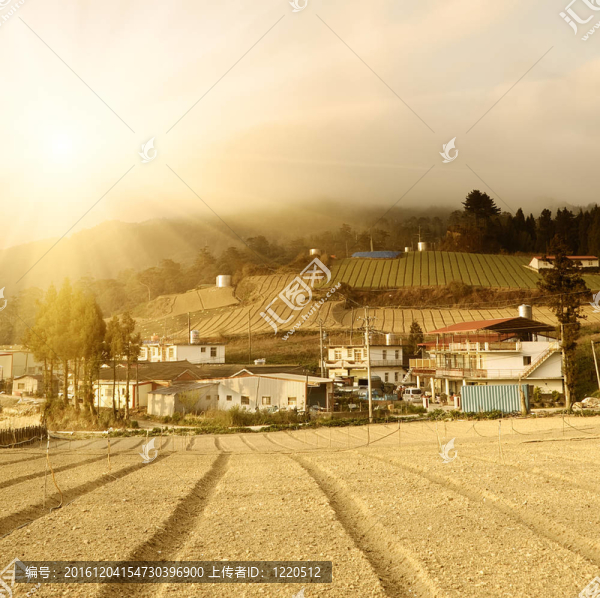 鄉(xiāng)村的風景