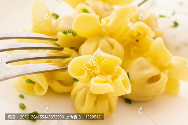 Nodini韭菜