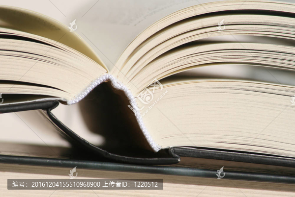 厚打開另一本書