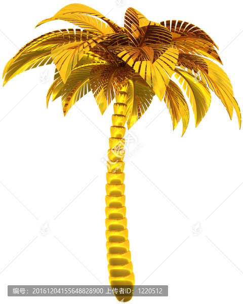 金棕櫚樹豪華熱帶