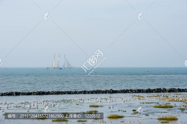 海岸的帆船