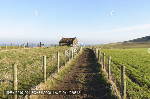 克利夫蘭路