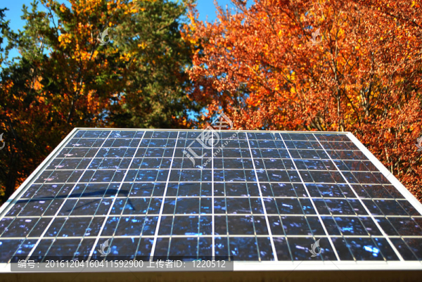 太陽能電池板