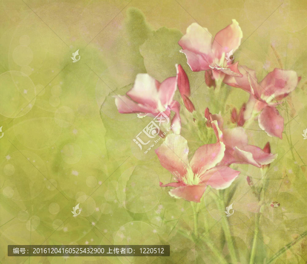 花卉數(shù)碼繪畫背景