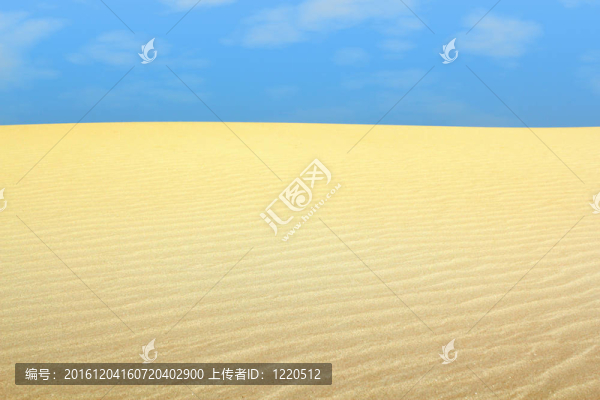 沙漠景觀