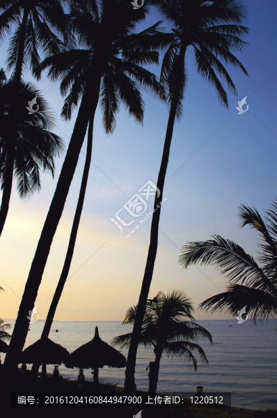 日出海灘上的風(fēng)景