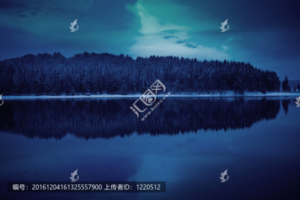 夜晚的森林
