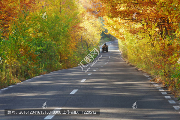 路上的馬車