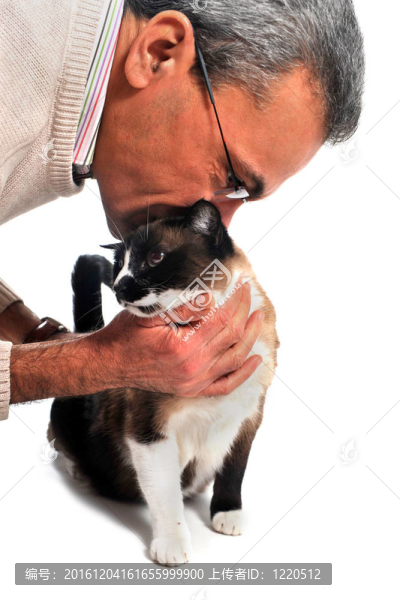 人與貓
