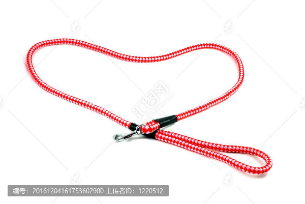 我愛(ài)我的狗