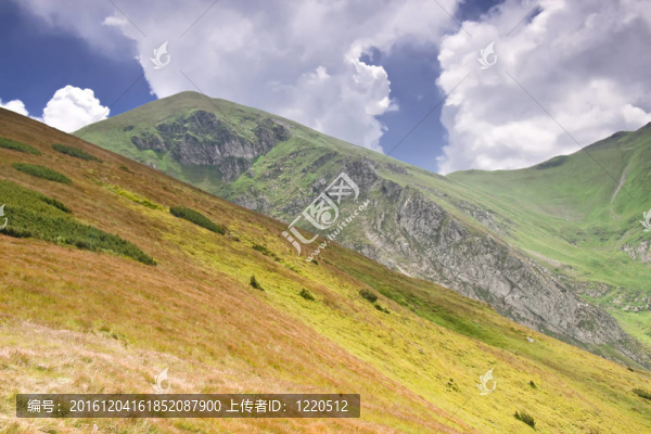 美麗的山-,Tatras。