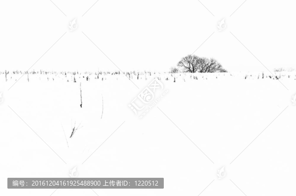冬季景觀