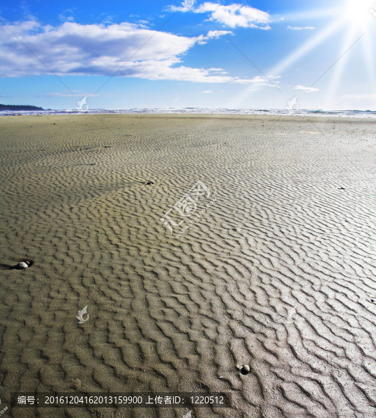 海灘上的桑迪