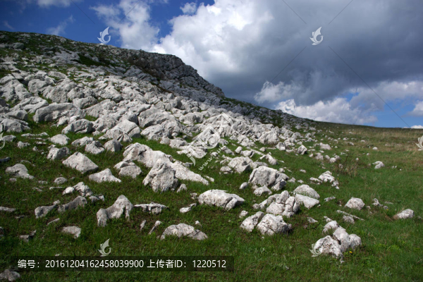 山地景觀