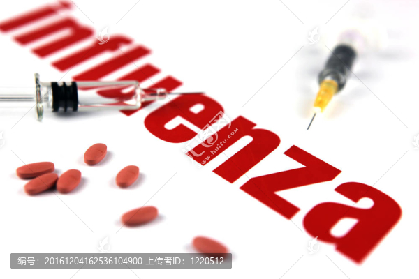 甲型H1N1流感病毒