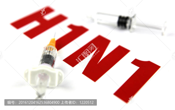 甲型H1N1流感病毒