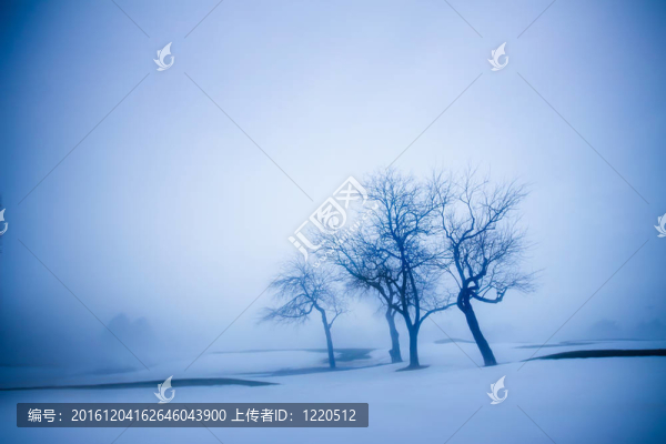 winterscape