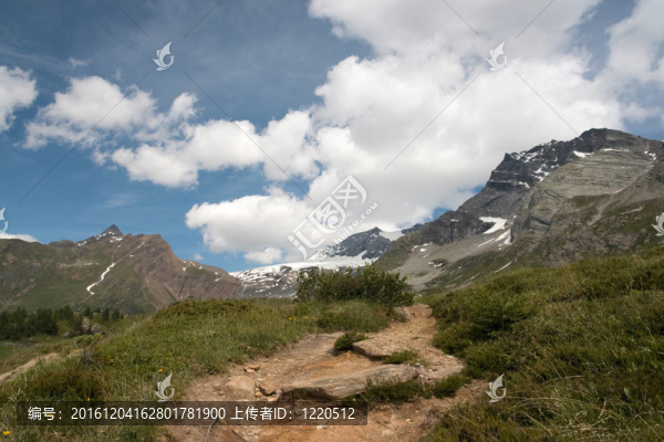 阿爾卑斯山