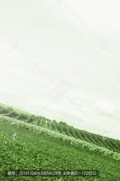 鄉(xiāng)村景觀