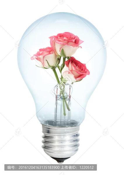 一束electrobulb玫瑰