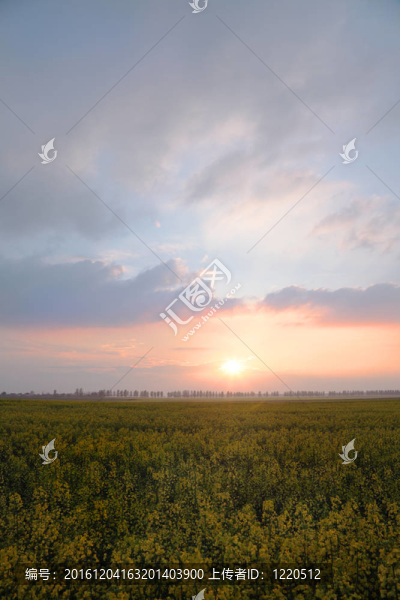 眺望鄉(xiāng)村波蘭風(fēng)景