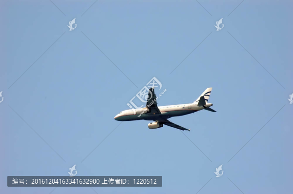 飛機(jī)