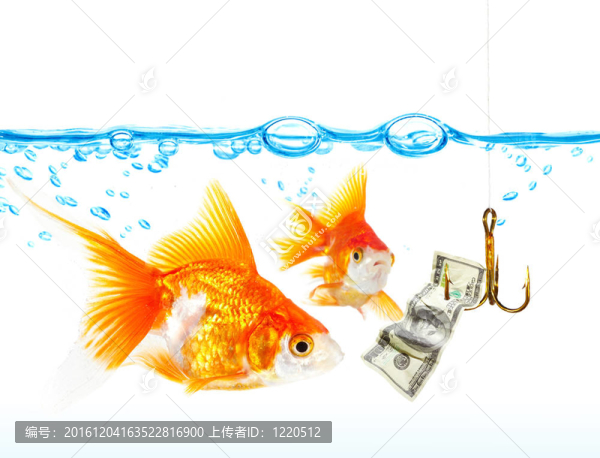 水下金小魚(yú)