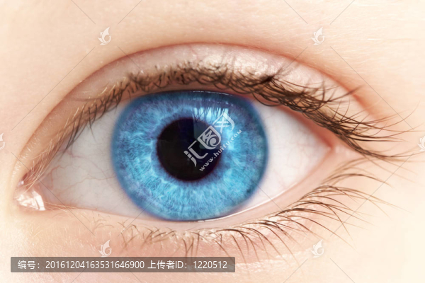 特寫眼