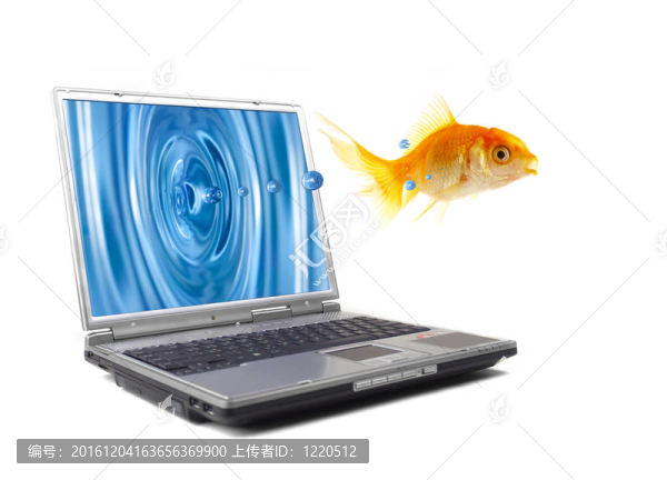 魚跳