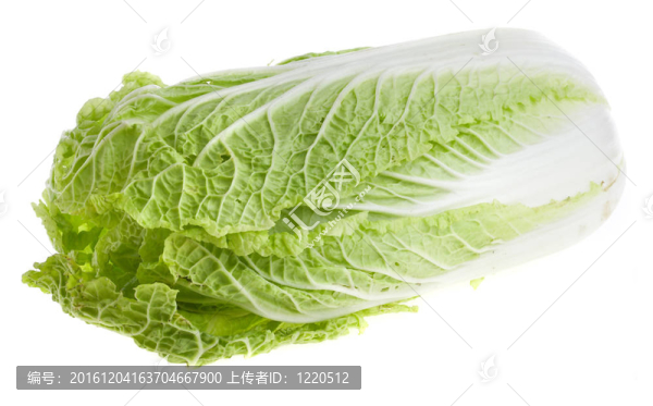 生菜