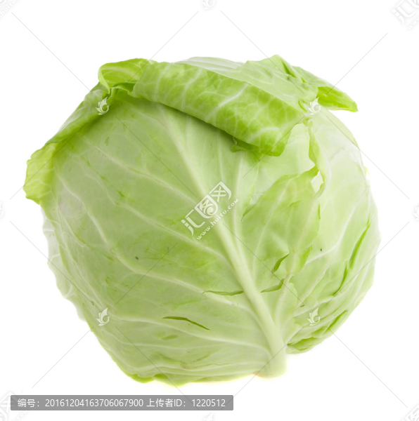 白菜頭