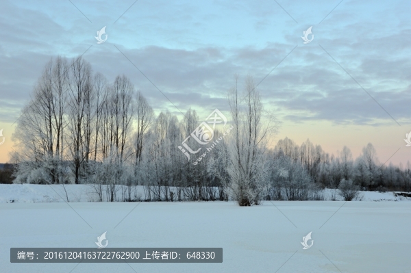 白色樹掛