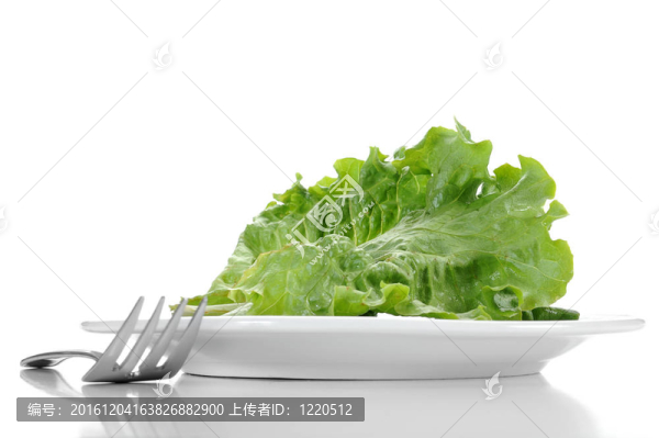 薩拉德