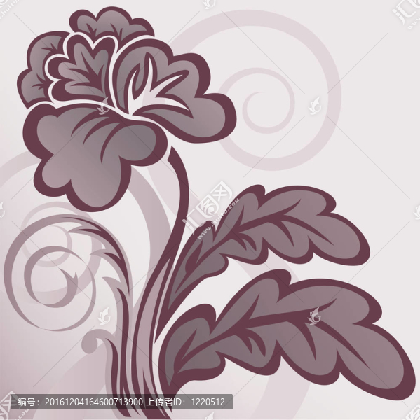 褐色的花朵